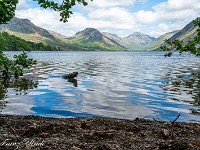 Strand, Bäume, Wasser, Berge und Wolken ergeben ein superschönes Motiv, wie ich finde. : Scafell Pike, Wast Water