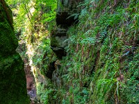 Ein enger und steiler Pfad führt nach unten ... : Devils Pulpit, Sycamore Gap, Vindolanad