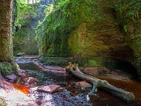 Devil's Pulpit wird auch die grüne Hölle von Finnich Glen genannt. : Devils Pulpit, Sycamore Gap, Vindolanad