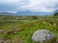 Auf dem Camping in Alexandria treffe ich seit einigen Tagen die ersten Schweizer - sogar Luzerner - an. In England war ich praktisch der einzige Ausländer, und ich weiss jetzt auch wieso: Viele Touristen bereisen nur Schottland und nehmen dazu die Fähre ab Amsterdam nach Newcastle, das fast an der Schottischen Grenze liegt. Damit umschiffen sie England. Bereits bin ich auf dem Weg durch die Schottischen Highlands nach Fort William, wo ich drei Nächte verbringen werde. : Ben Nevis