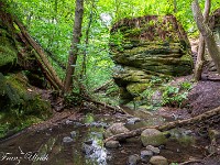 Dunino Den. Es ist wirklich ein magischer Platz. : Dunino Den, Fort William, Forth Bridge, St. Andrews