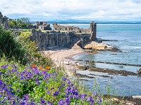 St. Andrews Castle ... : Dunino Den, Fort William, Forth Bridge, St. Andrews