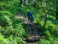 Zuerst geht es durch üppigen Wald ... : Snowdon
