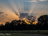 Nach einem nochmaligen Abstecher im Crop Circle Centre in Honey Street fahre ich weiter gen Süden nach Romsey in den Pop-Up Camping der Meadow Tree Farm, der nur am Wochenende geöffnet hat. Herrlicher Sonnenuntergang. Ich buche die Fähre für den nächsten Tag von Dover nach Calais. Auch die schönsten Ferien finden mal ein Ende! : Camping Meadow Tree Farm