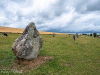 Die West Kennet Avenue. Es sind immer noch viele Menschen unterwegs, aber irgendwie gelingt es mir, doch ein paar "ruhigere" Bilder zu schiessen. : Avebury