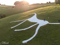 Rasch laufe ich zum Hackpen White Horse, eine weitere aus dem Hügel gekratzte Pferdefigur. Es windet stark und ich getraue mich kaum die Drohne zu starten. Es gesellt sich ein Engländer zu mir, der unverdrossen seine Drohne hervorkramt - die gleich gross ist wie meine. Das gibt mir Mut, ebenfalls zu starten; im schlimmsten Fall müsste ich meinem Sohn halt eine Neue kaufen. Wir sprechen uns kurz ab, damit wir keinen Unfall bauen und starten. Ich bin beeindruckt, wie ruhig die Drohne trotz des starken Windes in der Luft ist. Ich stehe übrigens beim Schwanz des Pferdes.  default : Avebury, Cooden Beach, Hackpen Horse, Kornkreis, Long Man of Wilmington