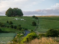 Ich nehme mir vor, am folgenden Tag (Montag) in Avebury die Morgenstimmung aufzunehmen und dann nach Dover weiterzufahren. Am Abend auf dem Camping schaue ich nochmals die Website https://cropcircleaccess.com an - vielleicht gibt es einen neuen Kornkreis? Und tatsächlich, welche Überraschung: Genau an diesem Wochenende der Sommer-Sonnenwende ist ganz in meiner Nähe beim Hackpen White Horse ein neuer Kornkreis entstanden. Ich bin ganz elektrisiert ... : Avebury, Cooden Beach, Hackpen Horse, Kornkreis, Long Man of Wilmington
