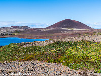 Vorbei geht es auf der Strasse 56 an riesigen Lavafeldern und rot schimmernden Vulkankegeln nach Borgarnes zurück. : Island