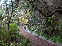 Von der Hochebene Paul da Serra führt ein Strässchen nach Rabaçal, von wo die Wanderung entlang der Levada das 25 Fontes startet. : Madeira