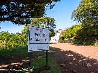 Bekannt ist Madeira auch für seine ursprünglichen Lorbeerwälder (Laurisilva). Vom Forsthaus Fanal gehen wir auf Erkundungsreise. : Madeira