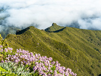 Tiefblick nach Norden zum Wolkenmeer über dem Atlantik. : Madeira