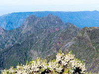 Geschafft! Wir stehen auf dem Pico Ruivo und schauen nach Westen zur Hochebene Paul da Serra. Ganz klein sind die vielen Windräder zu erkennen. : Madeira