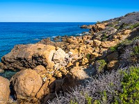 Bei der Ramla Bay auf Gozo. : Malta 2025
