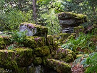 Mont Sainte-Odile 2025