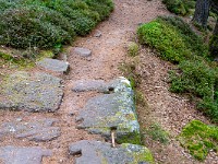 2025-08-23 24 Mont Sainte-Odile 800  FUL3171 : Mont Sainte-Odile