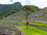 Hauptplatz. : Machu Picchu