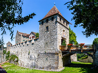 Schloss Laufen, auf der Zürcher Seite des Rheinfalls. : Rheinfall, Wasser, Wasserfall