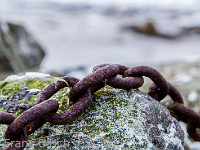 Nicht typisch Norwegen, gibt's dort aber auch