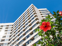 Hotel Crystal Gateway Marriot in Arlington : Washington DC