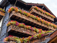 ... : Herbst, Matterhorn, Zermatt