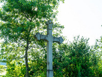 Bänkli und Wegkreuz in Gelfingen. : Getreidefeld, Mohnfeld, Seetal