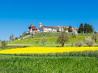 Frühling in Hohenrain. : Hohenrain Frühling Blüte