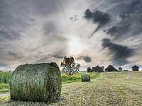 In Hohenrain wird das erste Gras eingebracht. An diesem Abend konnten noch nicht alle Siloballen mit Plastik eingepackt werden. Mein  Glück, sonst wäre dieses spontane Bild nicht entstanden. : Hohenrain Frühling Siloballen Himmel