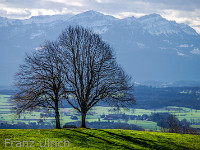 Ausblick vom Waldbeizli (Hohenrain)